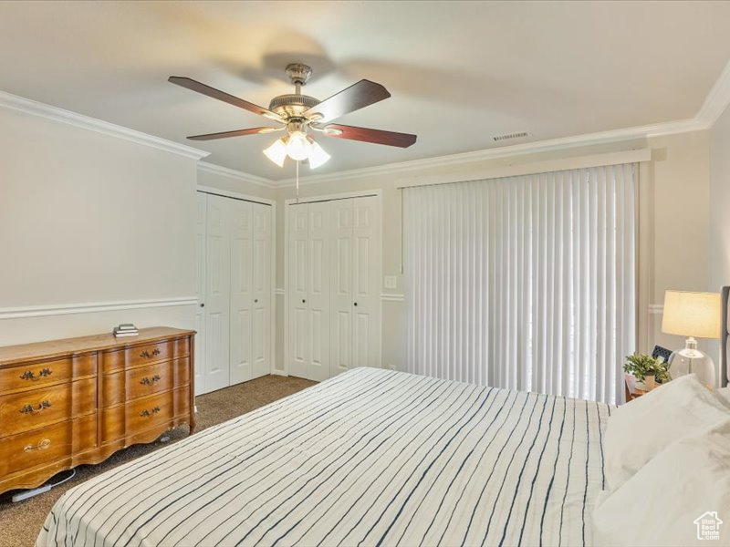 Bedroom with crown molding, carpet floors, two closets, a ceiling fan, and visible vents