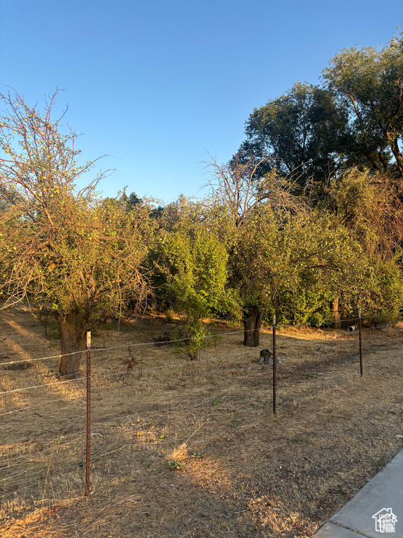 View of local wilderness