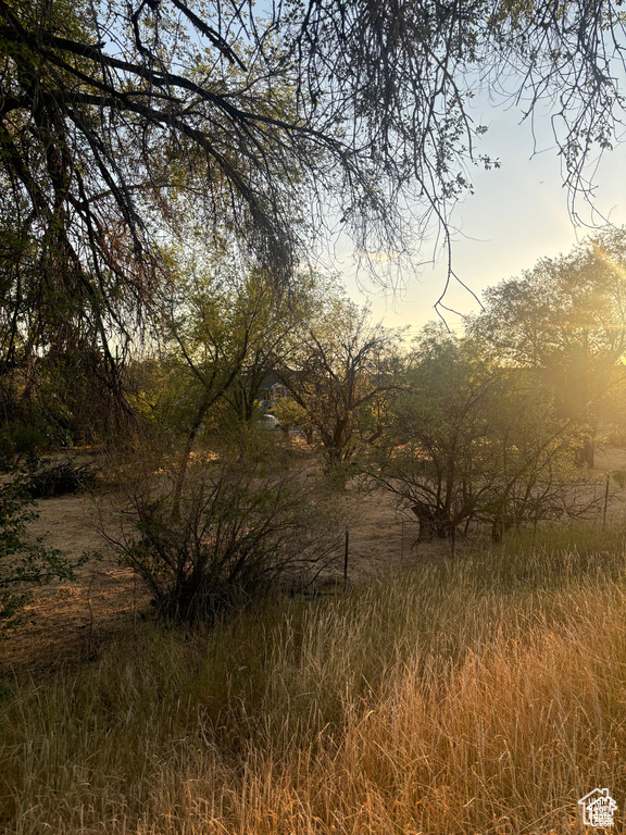 View of nature