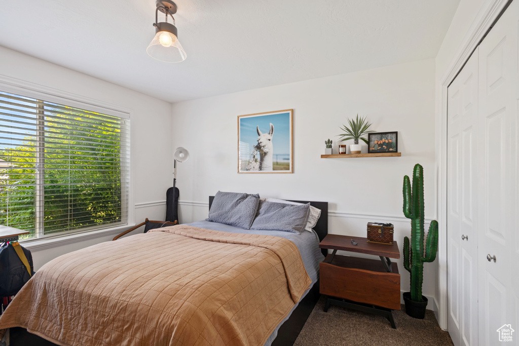 Bedroom featuring a closet, multiple windows, and carpet