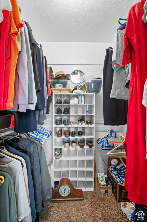 Spacious closet featuring carpet