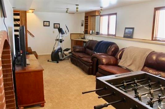 Living room featuring carpet