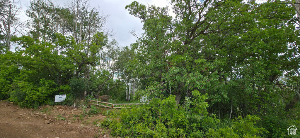 View of undeveloped land