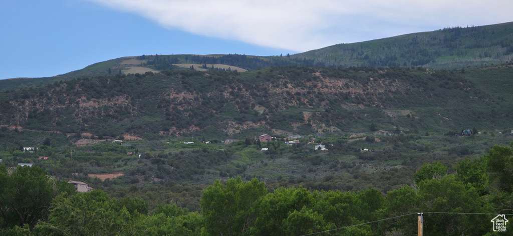 View of mountain background with a forest