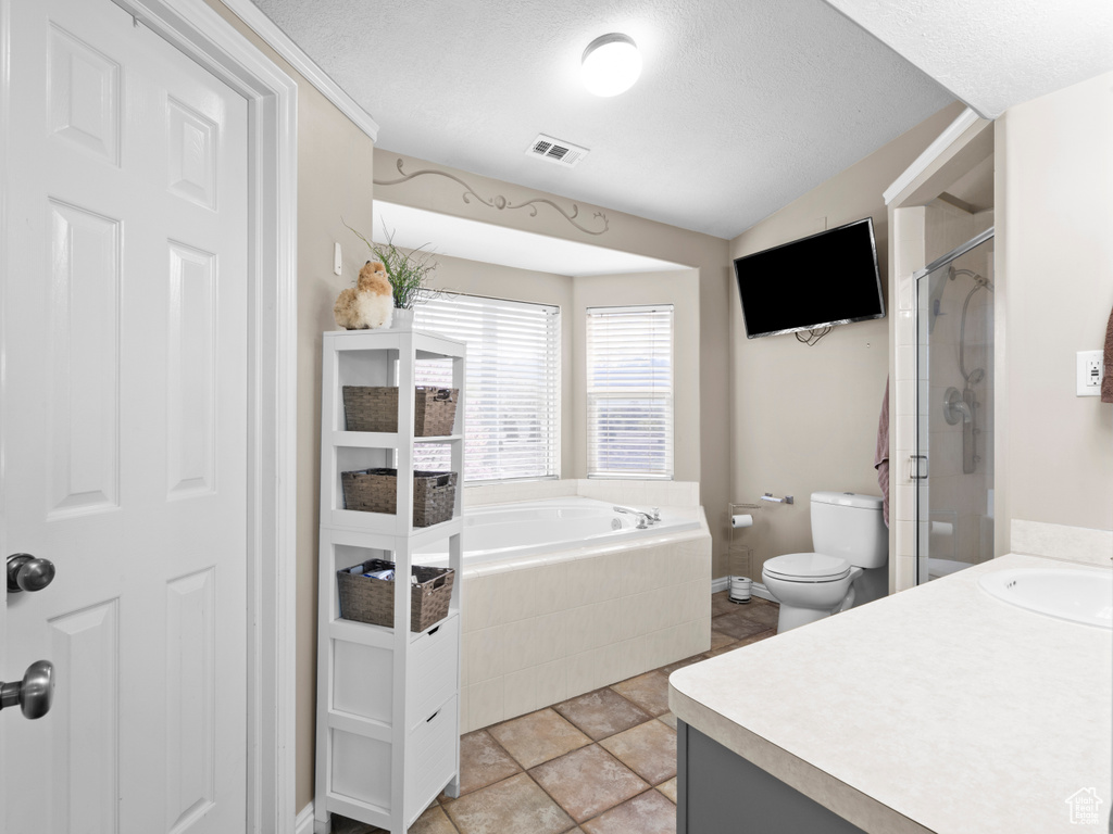 Full bathroom featuring visible vents, vanity, toilet, a bath, and a stall shower