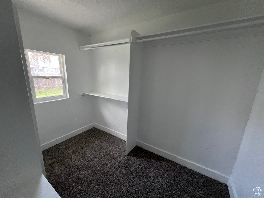 Spacious closet featuring dark colored carpet