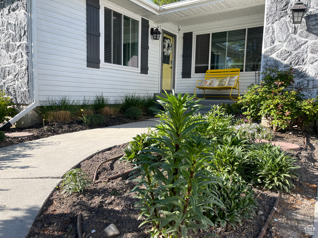 Property entrance featuring a porch