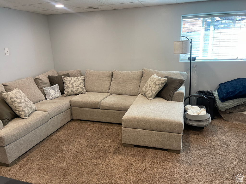 Living area with carpet flooring, visible vents, and a drop ceiling