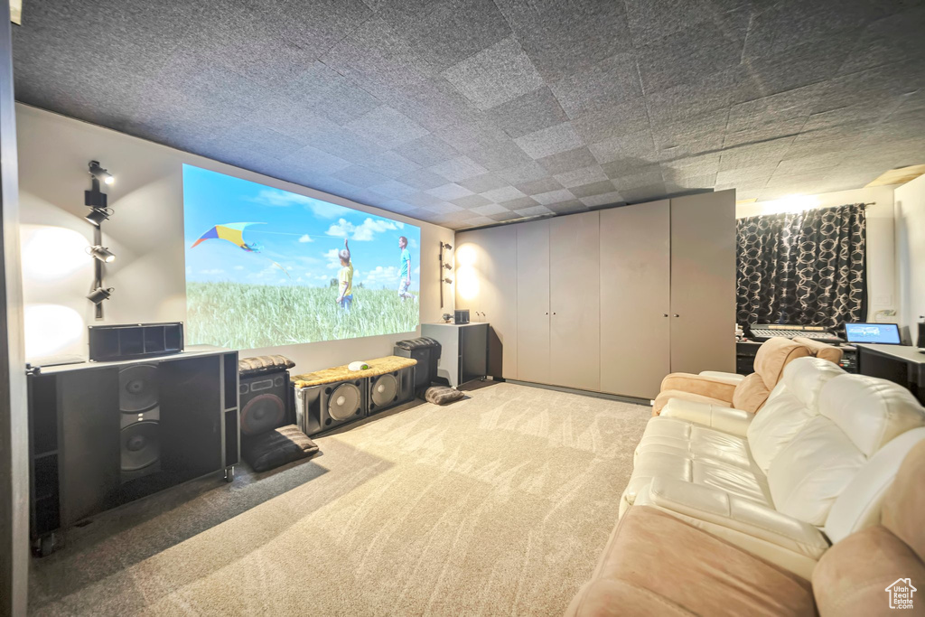 Home theater with carpet floors