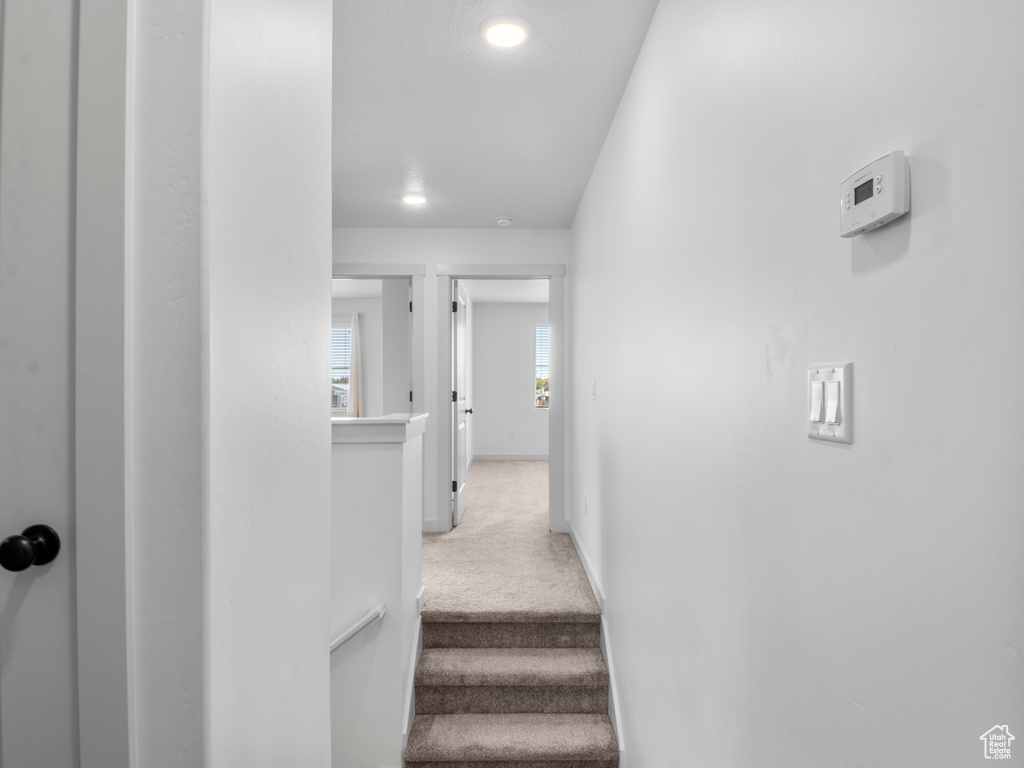 Staircase featuring carpet flooring and baseboards