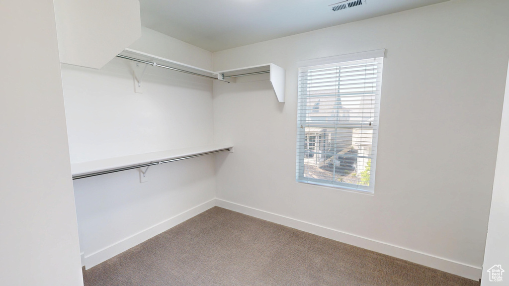 Walk in closet featuring carpet flooring and visible vents