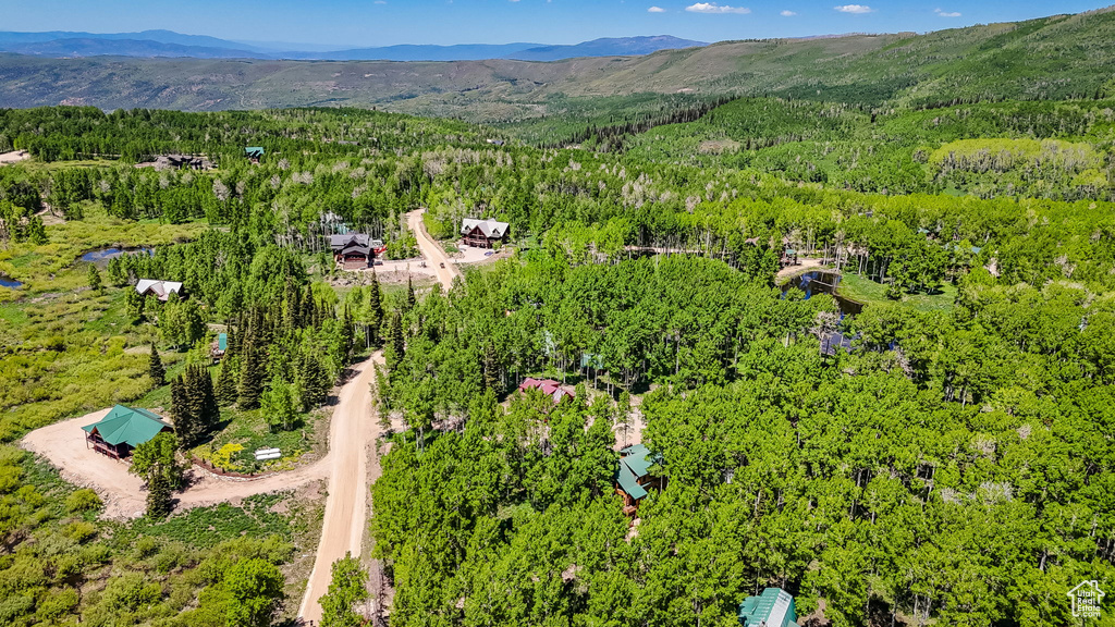 Drone / aerial view of a heavily wooded area and a mountainous background