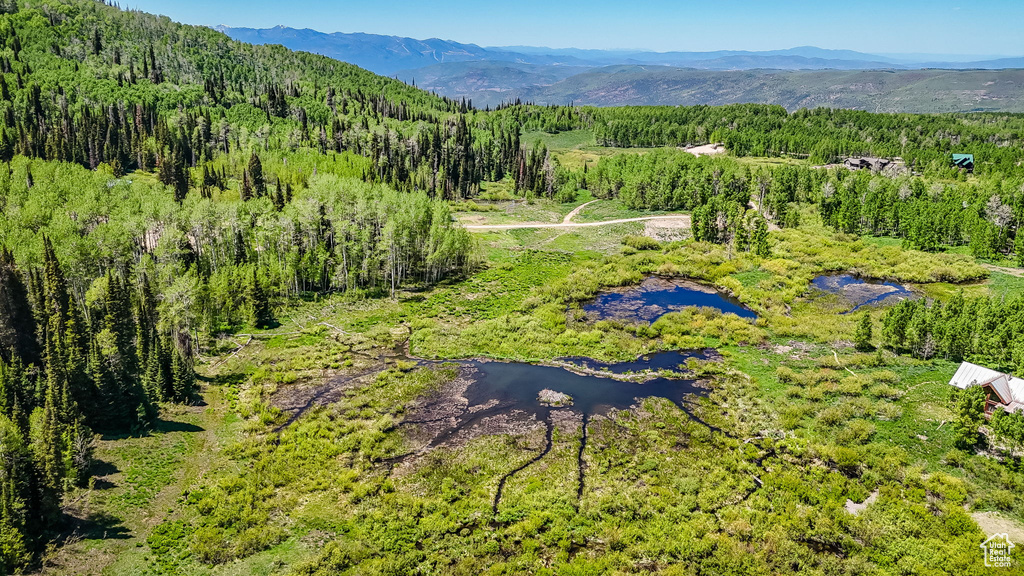 Drone / aerial view of a heavily wooded area and mountains