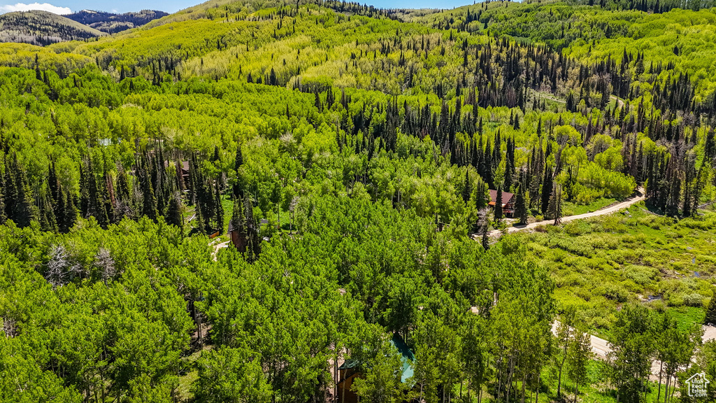 View of mountain backdrop featuring a forest