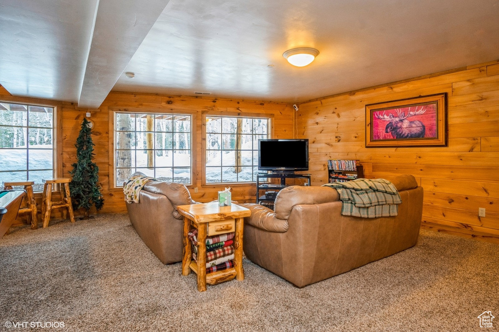Living area with carpet floors, wooden walls, and plenty of natural light