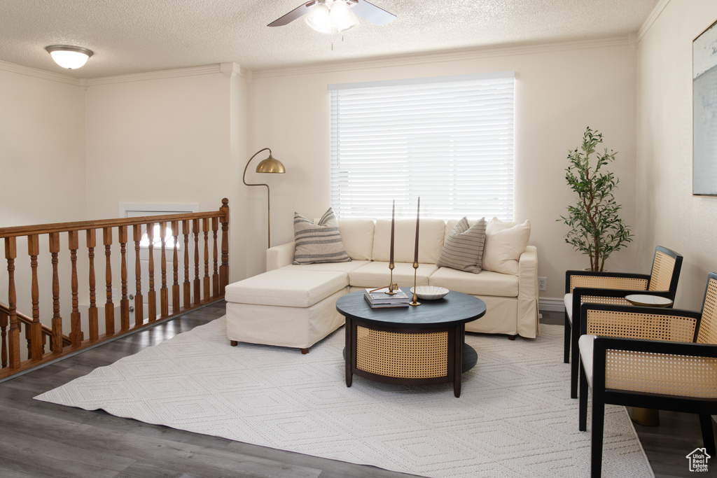 Living room with crown molding, a ceiling fan, a textured ceiling, and wood finished floors