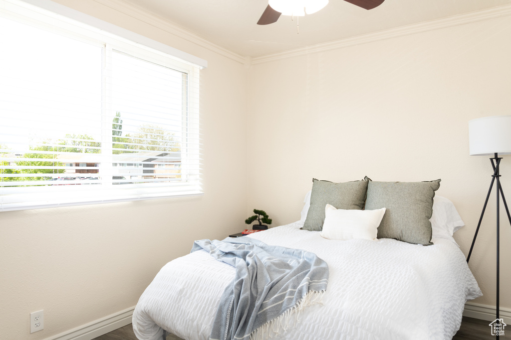 Bedroom with crown molding, a ceiling fan, baseboards, and multiple windows
