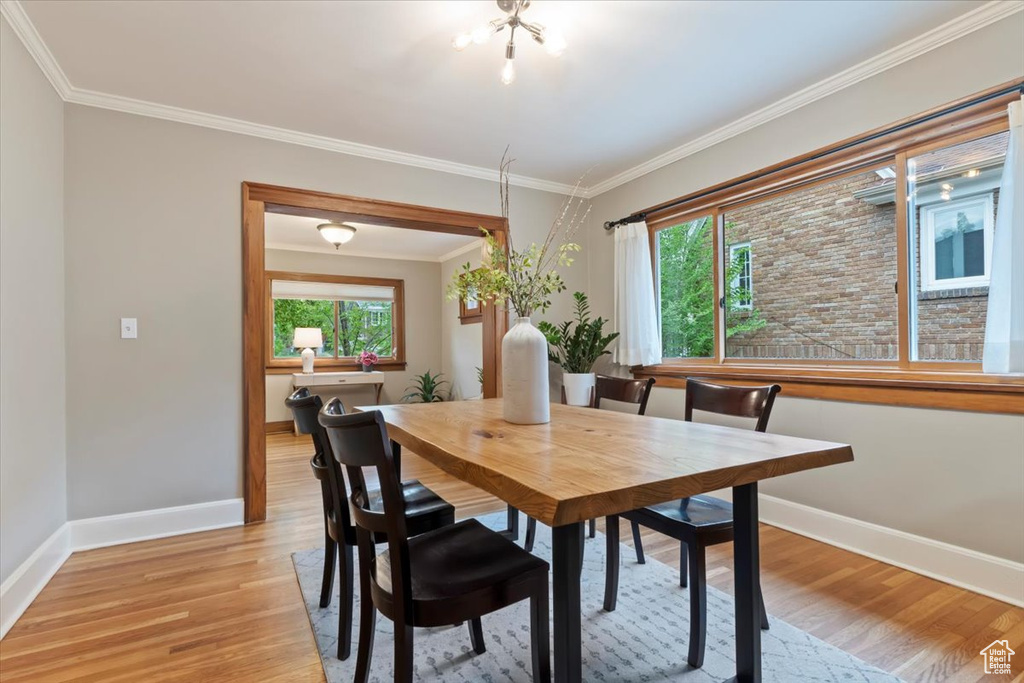 Dining area with baseboards, a wealth of natural light, and light wood-type flooring