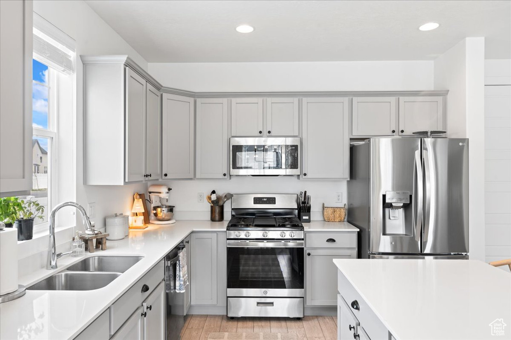 Kitchen with a sink, light wood-style floors, gray cabinetry, stainless steel appliances, and light countertops