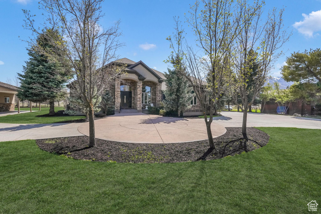 Obstructed view of property featuring a front lawn and stone siding