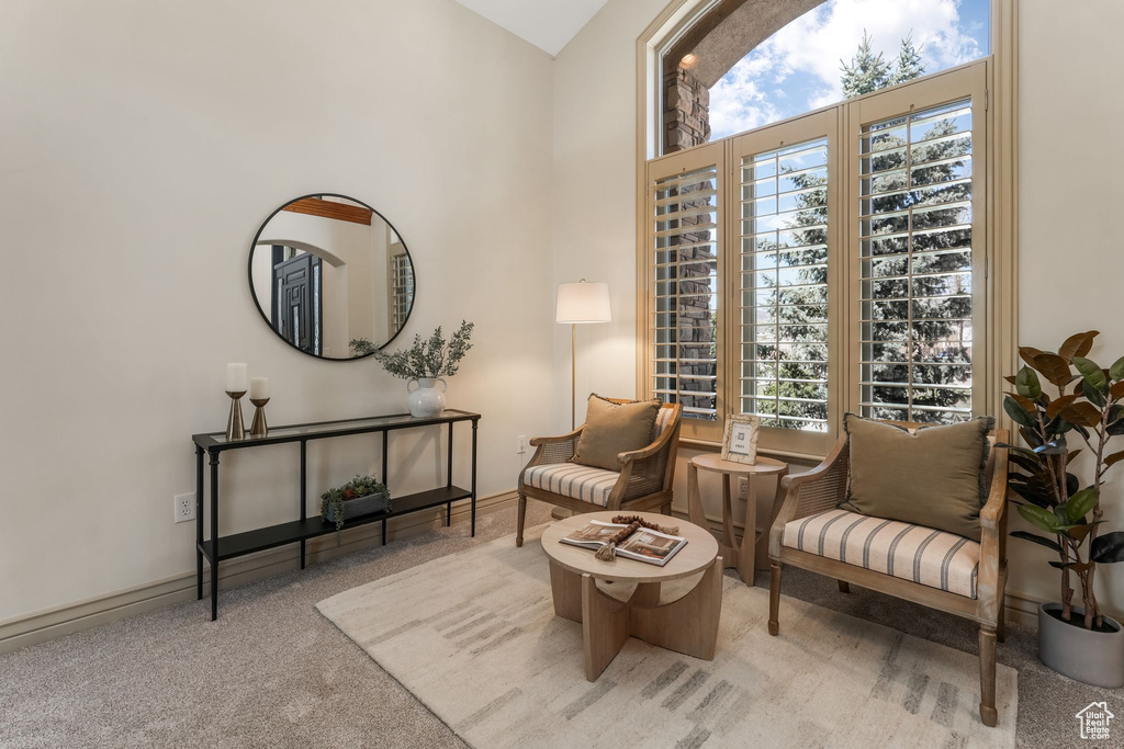 Sitting room featuring baseboards, carpet, and a wealth of natural light