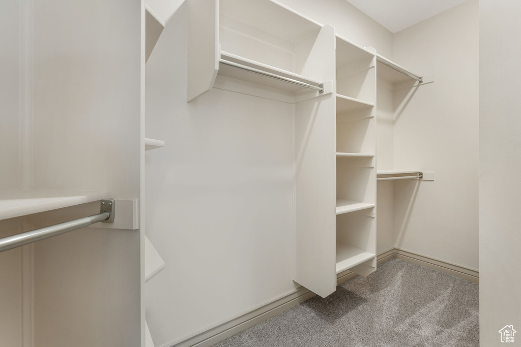 Walk in closet with carpet