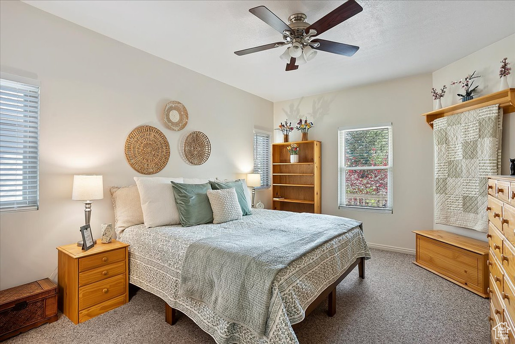 Carpeted bedroom with ceiling fan and multiple windows
