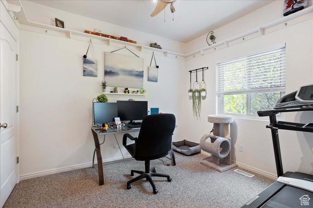 Home office featuring ceiling fan, carpet flooring, and baseboards