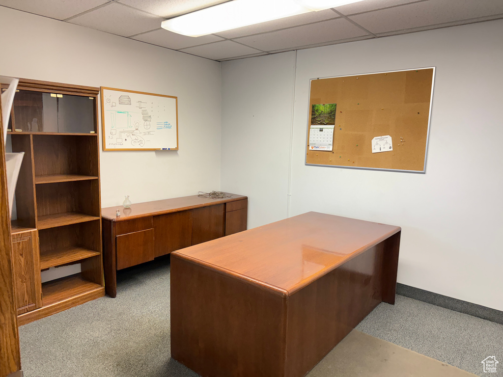 Unfurnished office featuring baseboards, a drop ceiling, and carpet flooring
