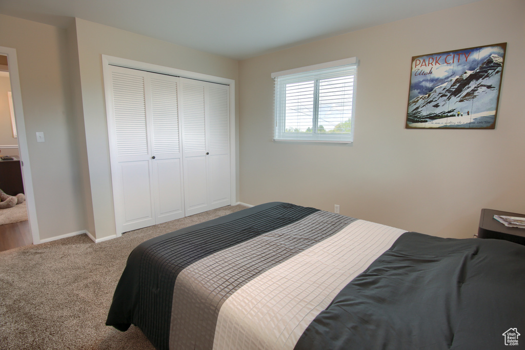 Bedroom with a closet, carpet, and baseboards