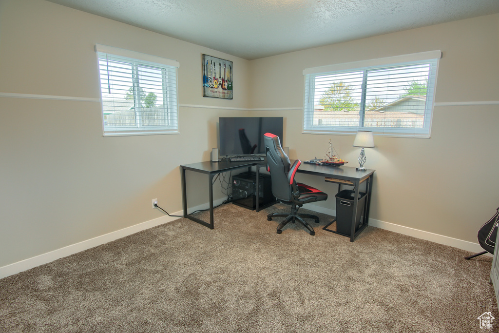 Office area with baseboards and carpet