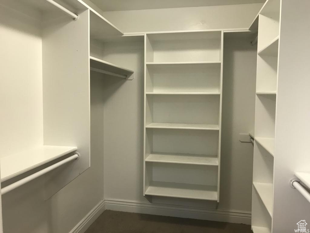 View of walk in closet