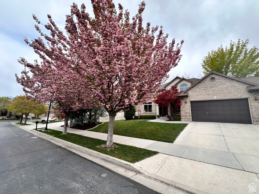 Obstructed view of property featuring concrete driveway, a front yard, brick siding, and a garage