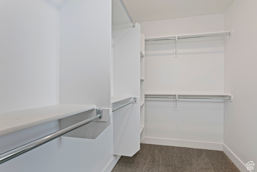Spacious closet featuring dark colored carpet
