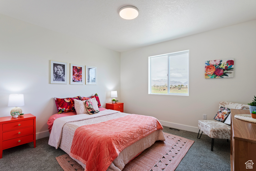 Bedroom with carpet flooring, baseboards, and visible vents