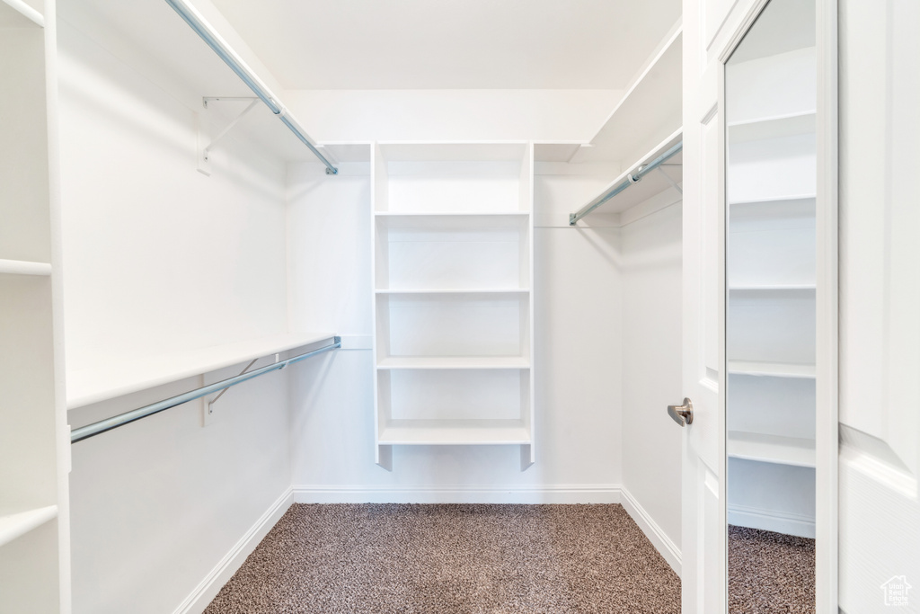 Walk in closet with carpet
