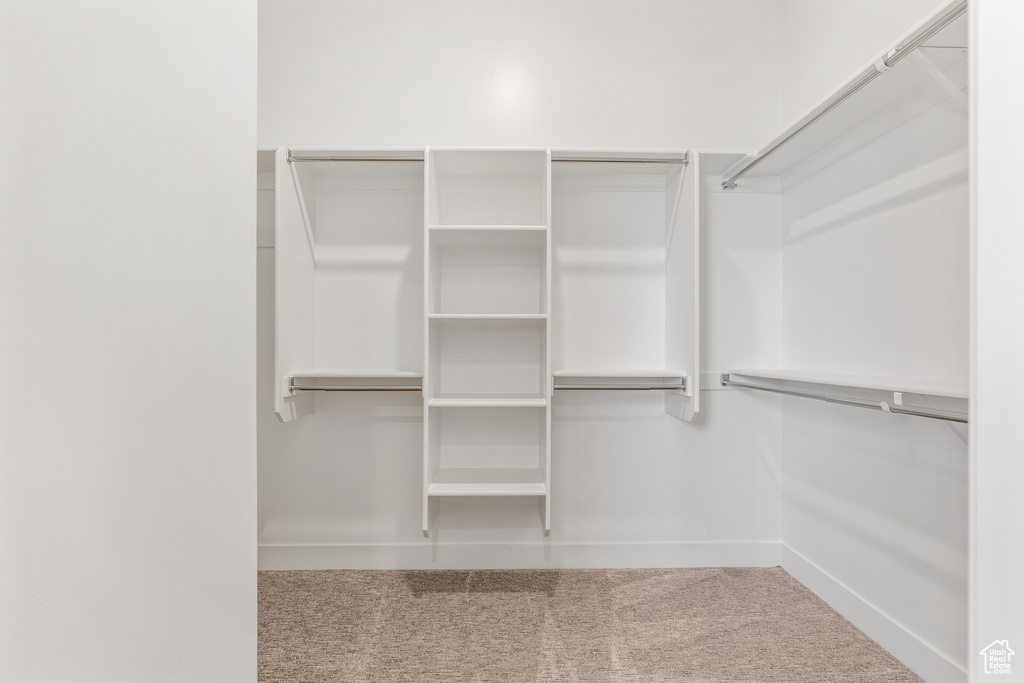 Spacious closet with carpet flooring