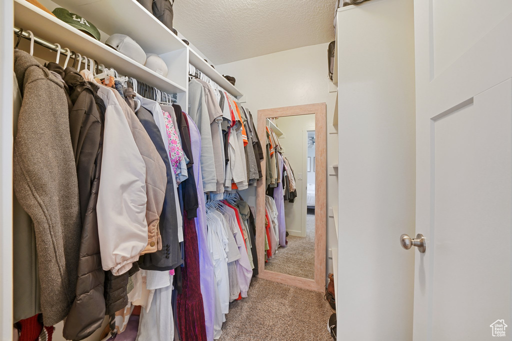 Spacious closet featuring carpet