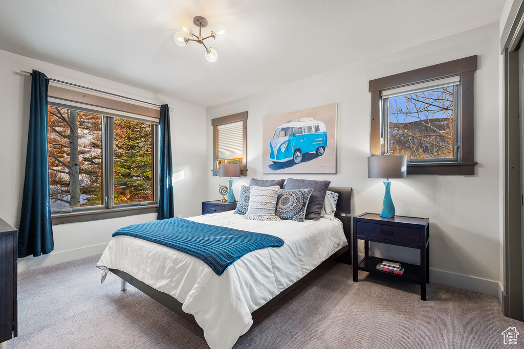 Bedroom featuring baseboards, multiple windows, and carpet
