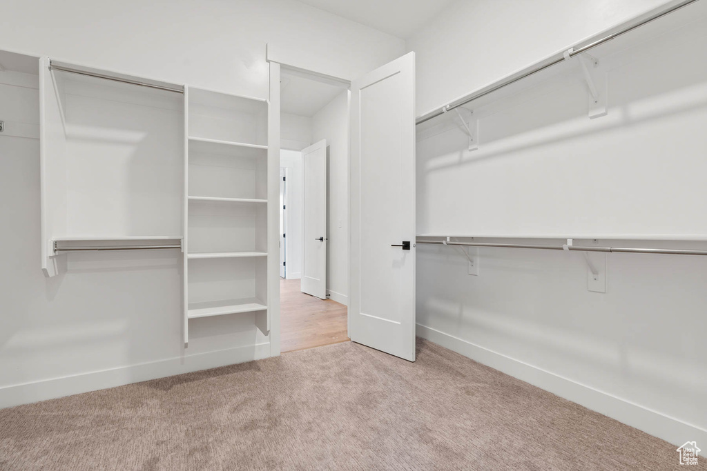 Walk in closet featuring carpet floors