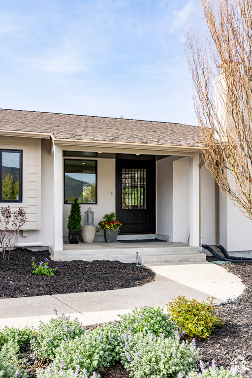 Entrance to property featuring covered porch and stucco siding