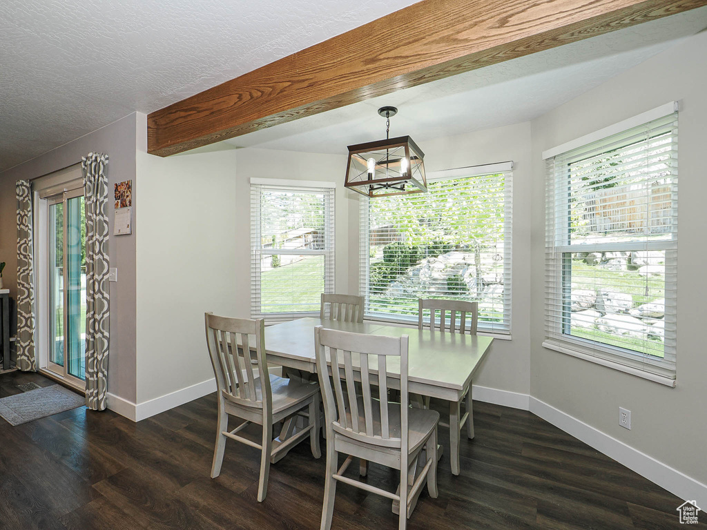 Dining area with baseboards, dark wood finished floors, and a wealth of natural light