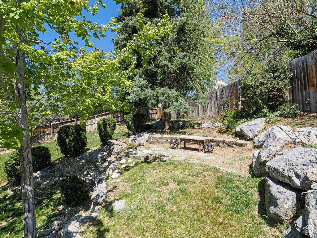 View of yard with a fenced backyard
