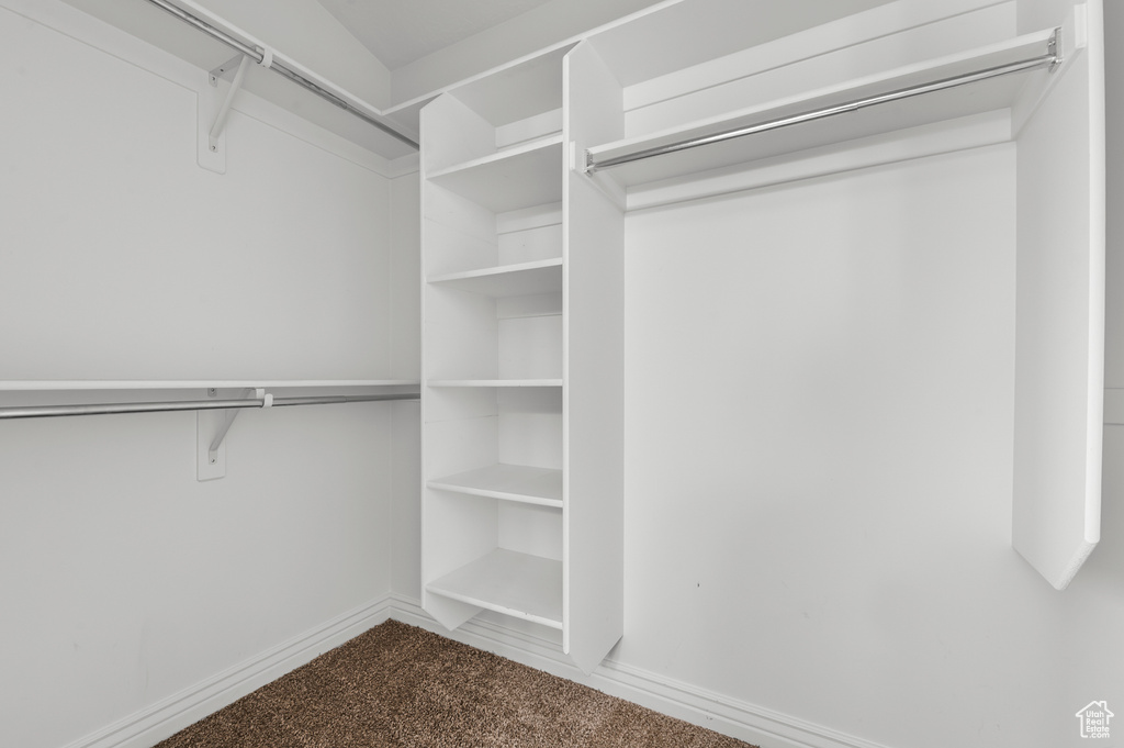 Spacious closet with carpet flooring