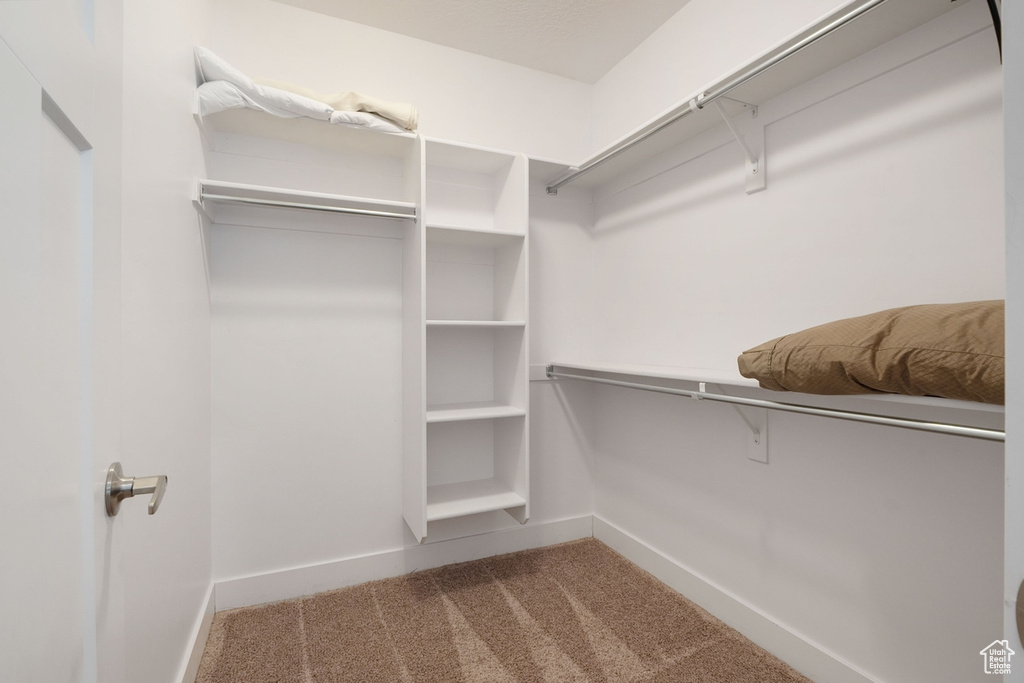 Spacious closet with carpet floors