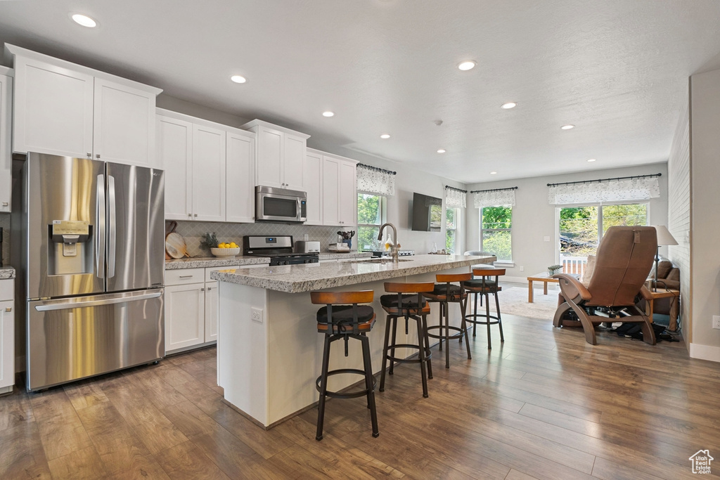 Kitchen with plenty of natural light, a kitchen island with sink, stainless steel appliances, and recessed lighting