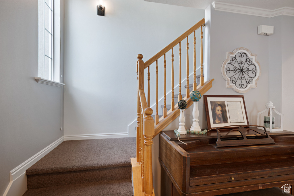 Stairway with baseboards, carpet, and crown molding