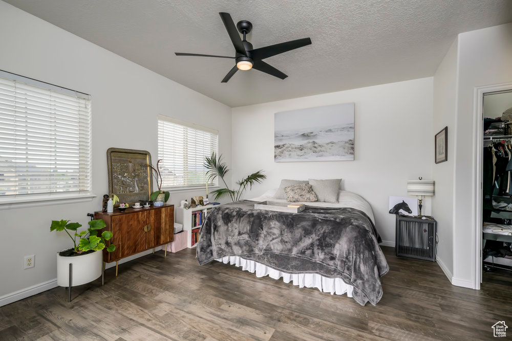 Bedroom with baseboards, a walk in closet, wood finished floors, and a closet