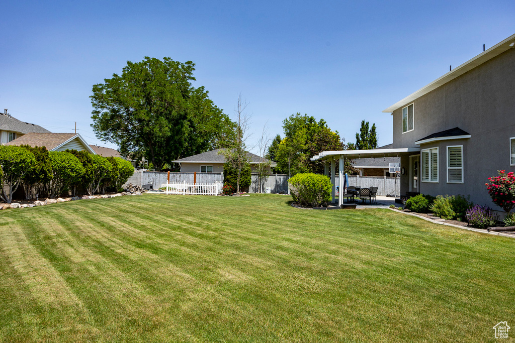 View of yard featuring a patio