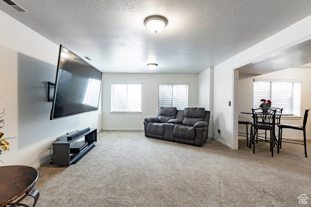 Carpeted living area featuring a textured ceiling, visible vents, and baseboards
